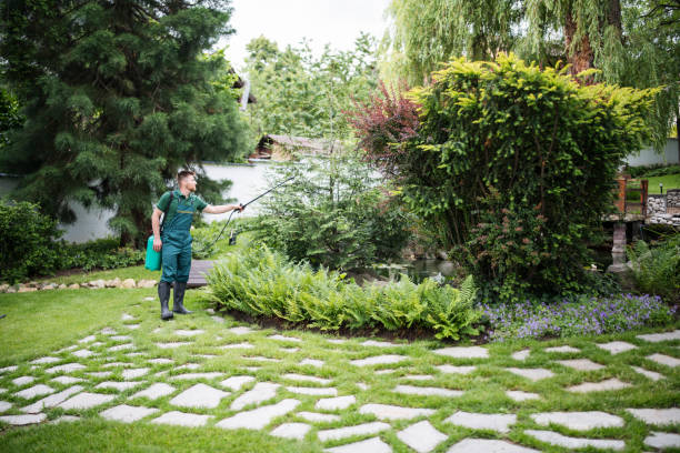 Best Bird Control  in Collierville, CA