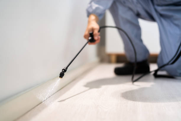 Best Pest Control for Homes  in Collierville, CA