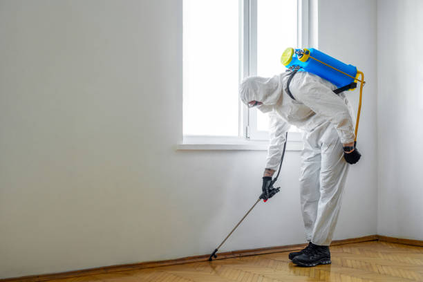 Best Cockroach Control Services  in Collierville, CA