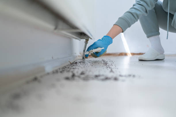 Best Commercial Pest Control Services  in Collierville, CA